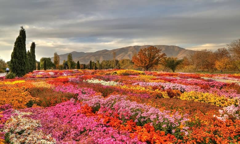 باغ گیاه شناسی یکی از بهترین جاذبه های تفریحی بیرجند