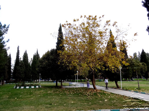 پارک وحدت یکی از بهترین پارک های بیرجند